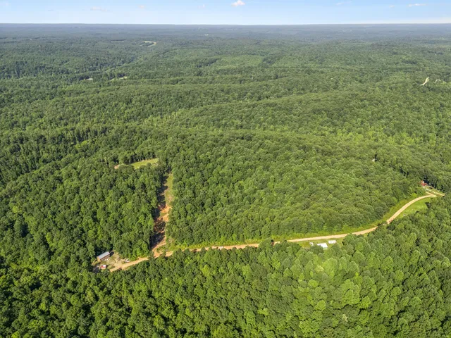 a view of a lush green field