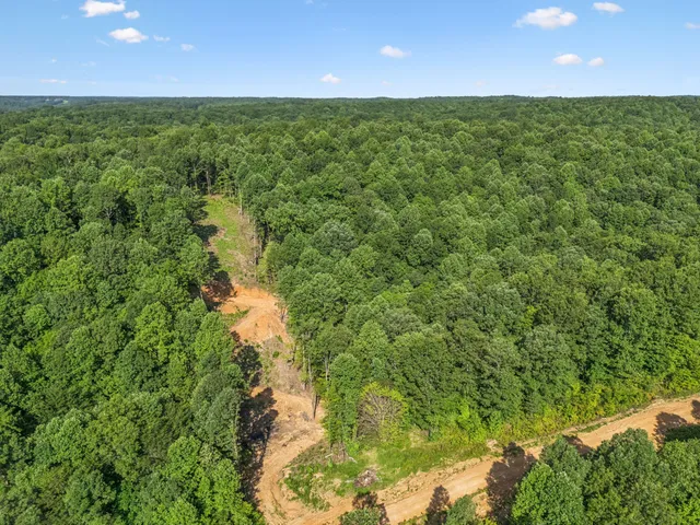 a view of a yard with an outdoor space