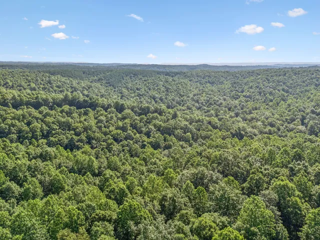 an aerial view of a houses with a yard