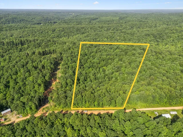 a view of a field with an ocean