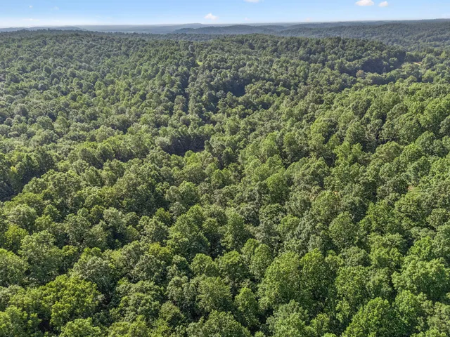 a view of a yard and an trees