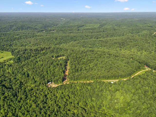 $85,000 | 220 Ellies Run, Mount Pleasant, TN 38474