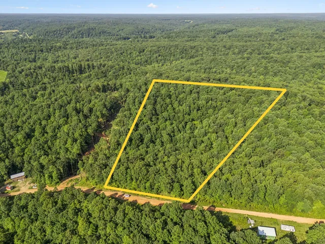 a view of a lush green forest with a lake