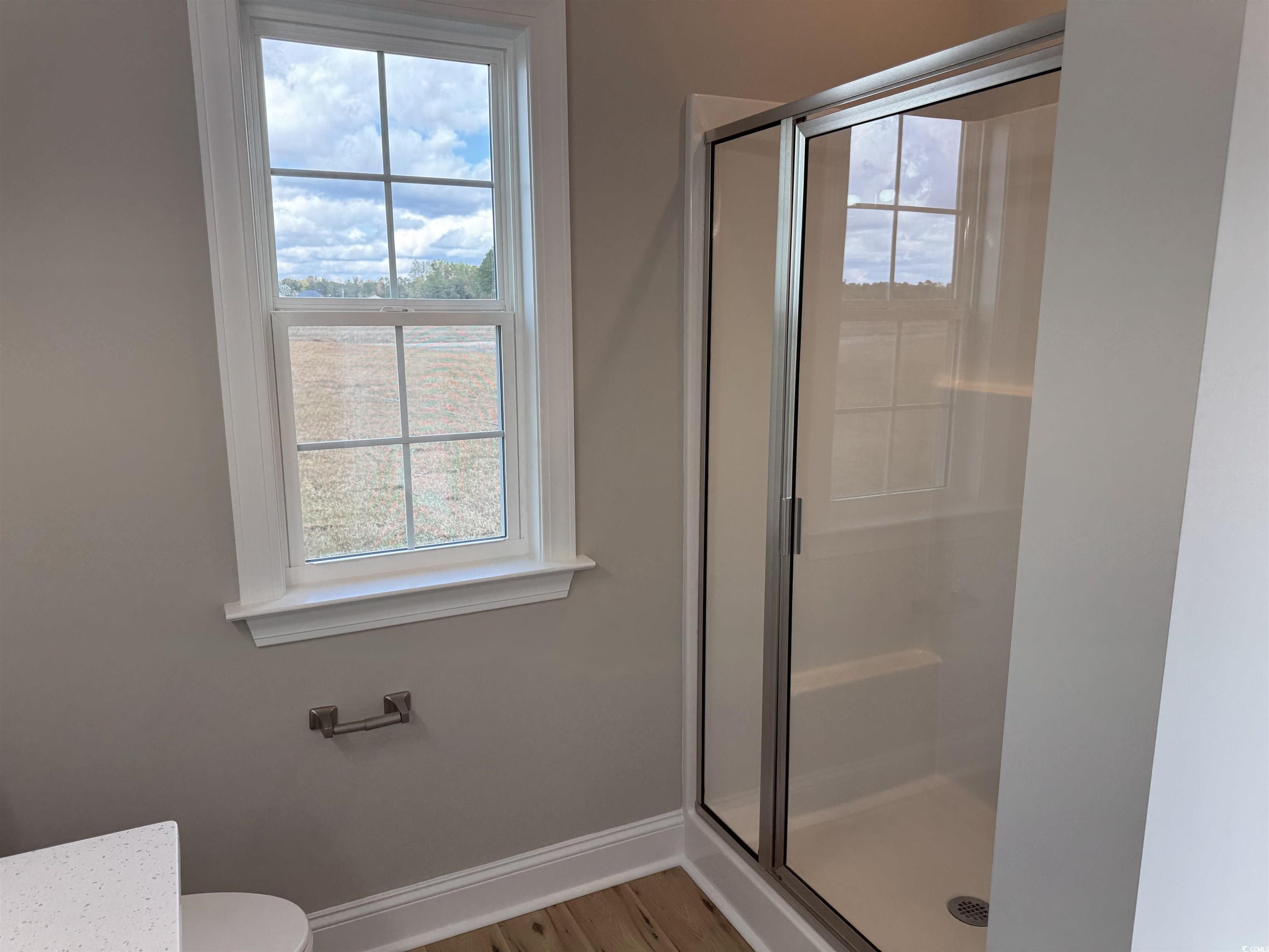 4963 Dupont Road Aynor, SC 29511 - Photo 11 of 18 Bathroom featuring a shower stall, plenty of natural light, and light wood finished floors