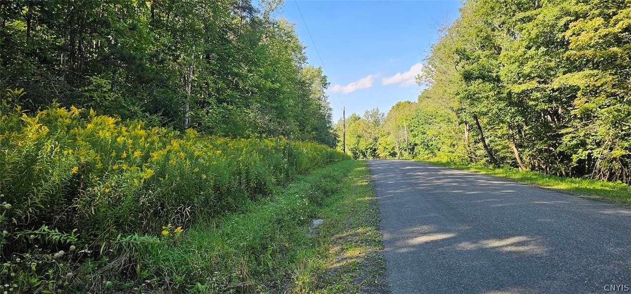 Creamery Road Richford, NY 13835 - Photo 31 of 35 Gallery Image 31