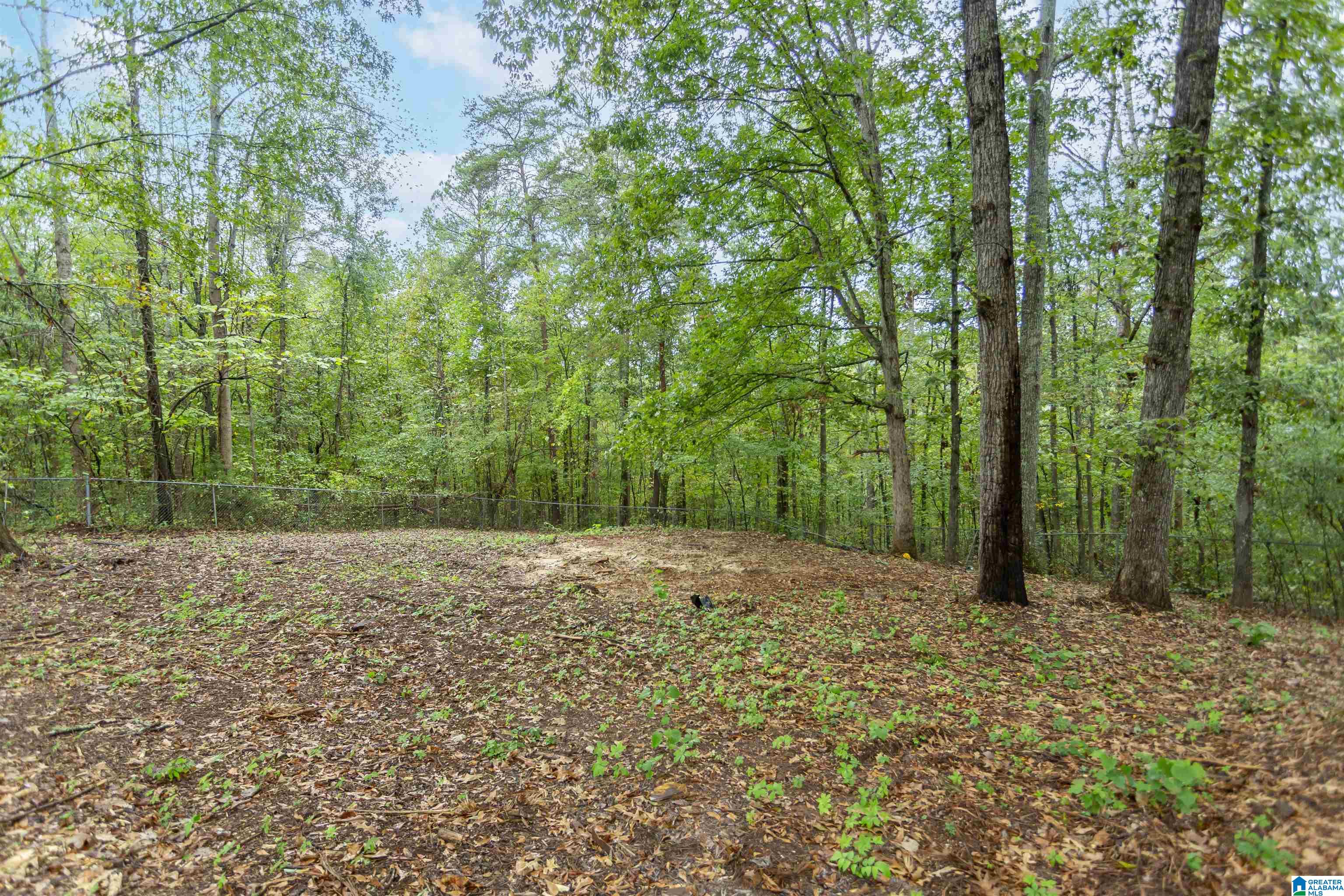 629 Ridgewood Drive Remlap, AL 35133 - Photo 3 of 46