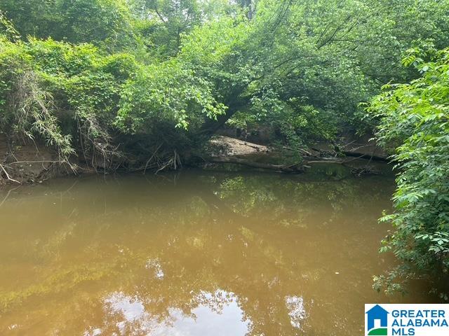 91 County Road Roanoke, AL 36274 - Photo 4 of 11 Gallery Image 4