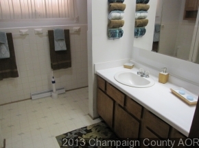 2332 Brookshire East Champaign, IL 61821 - Photo 11 of 15 a bathroom with a sink and a mirror