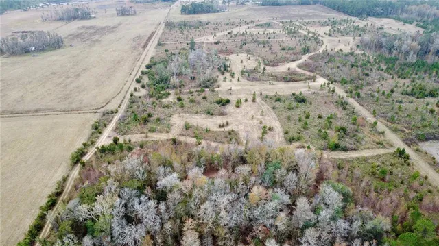 a view of a dry yard with trees