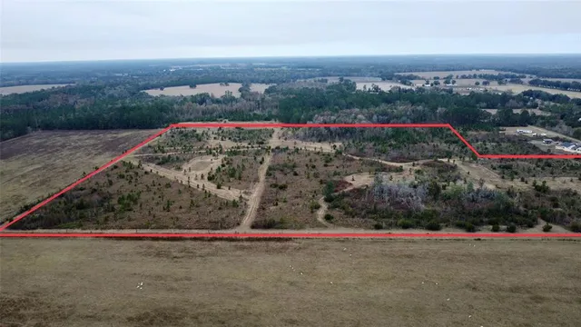 a view of a dry yard