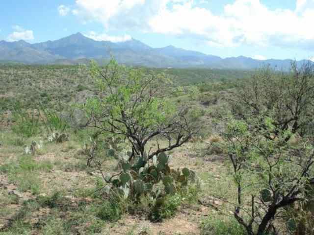 57 Camino Nacozari Rio Rico, AZ 85648 - Photo 9 of 9