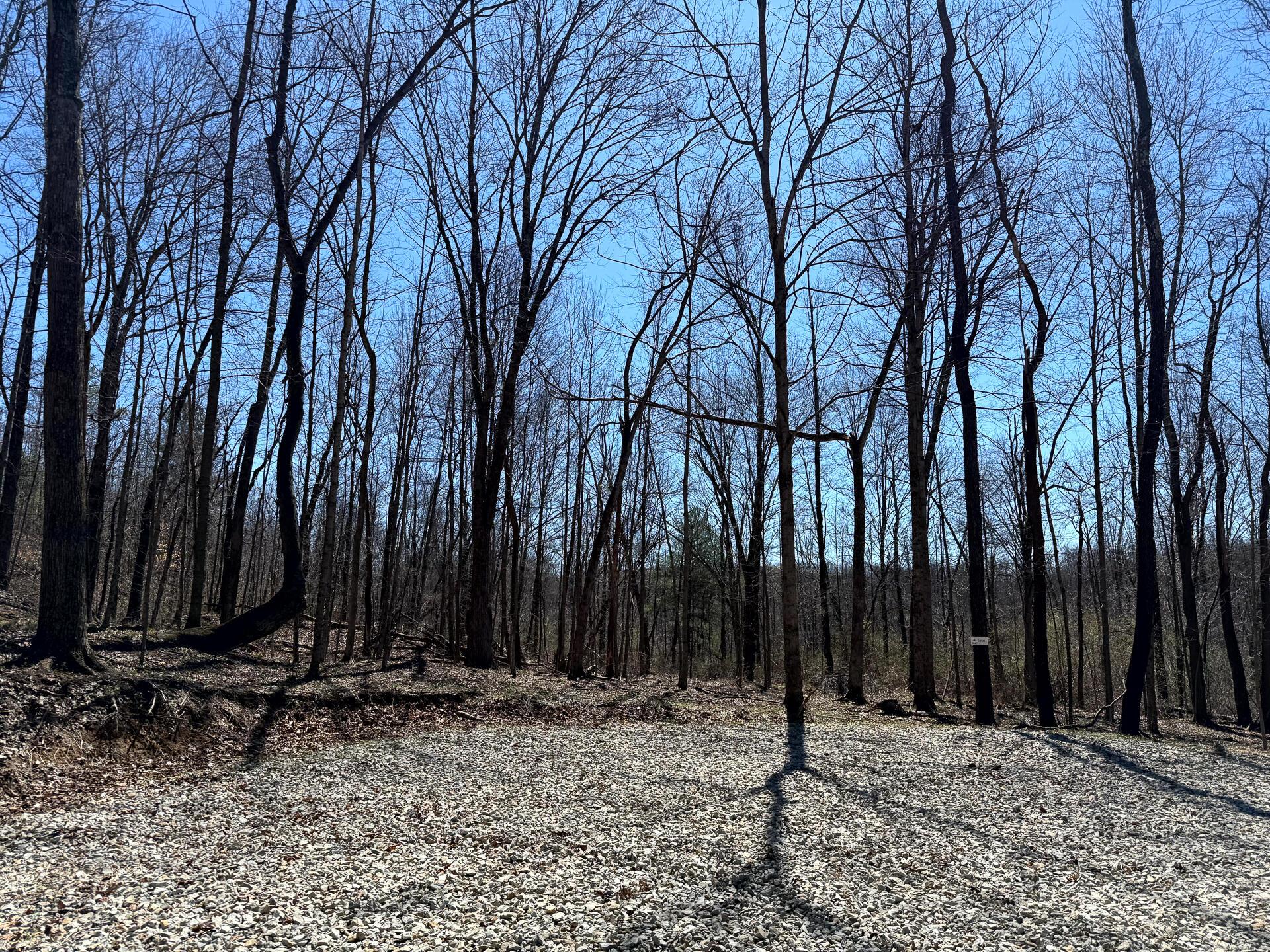 0 Dutch Ridge Road Southeast, Unit WOODS TURKEY RUN TRACT 5) New Lexington, OH 43764 - Photo 8 of 58 CT-8