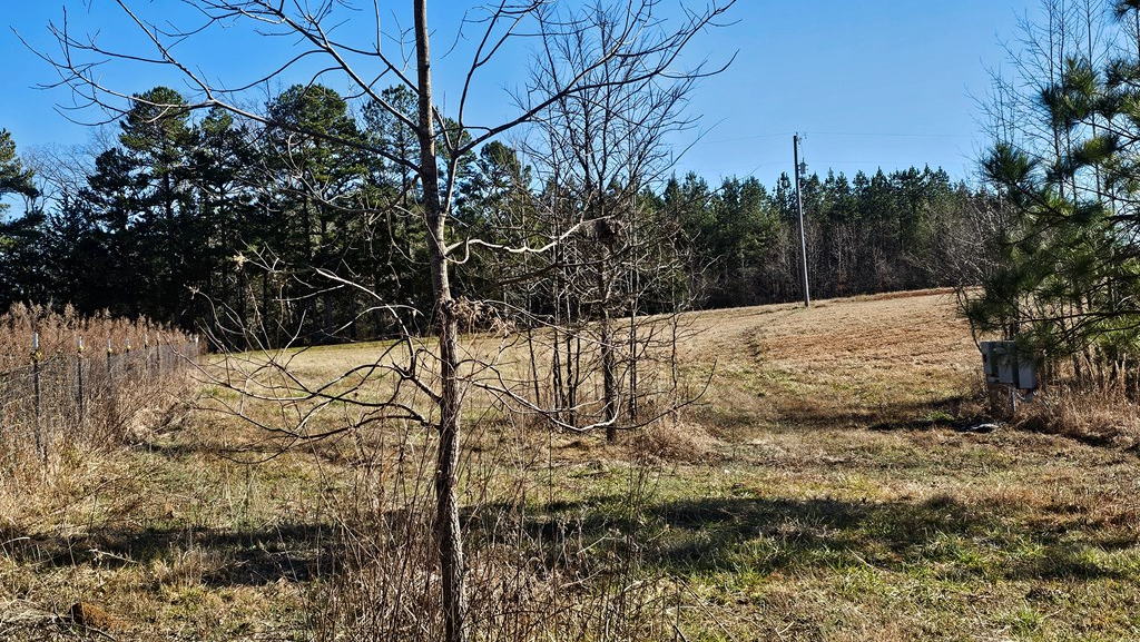 2395 Daniels Road Boydton, VA 23917 - Photo 18 of 24 Gallery Image 18