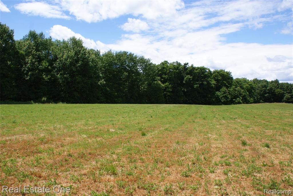 B Millville Road Lapeer, MI 48446 - Photo 6 of 16
