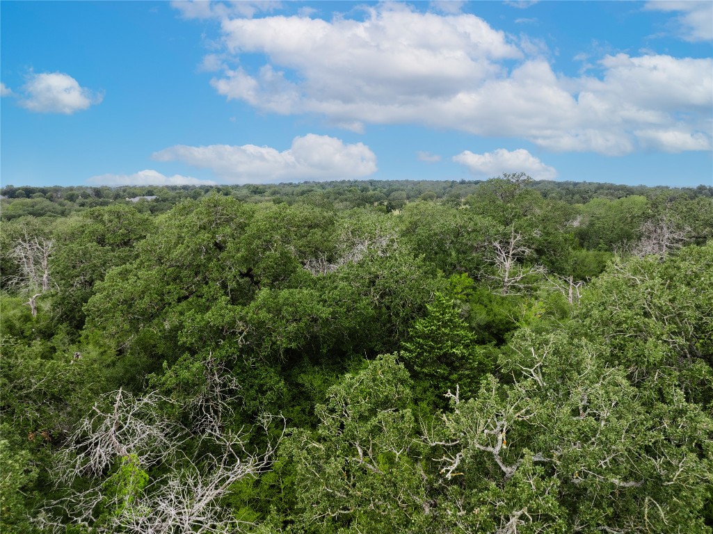 308 The Oaks Boulevard Elgin, TX 78621 - Photo 12 of 14 a view of a bunch of trees and bushes