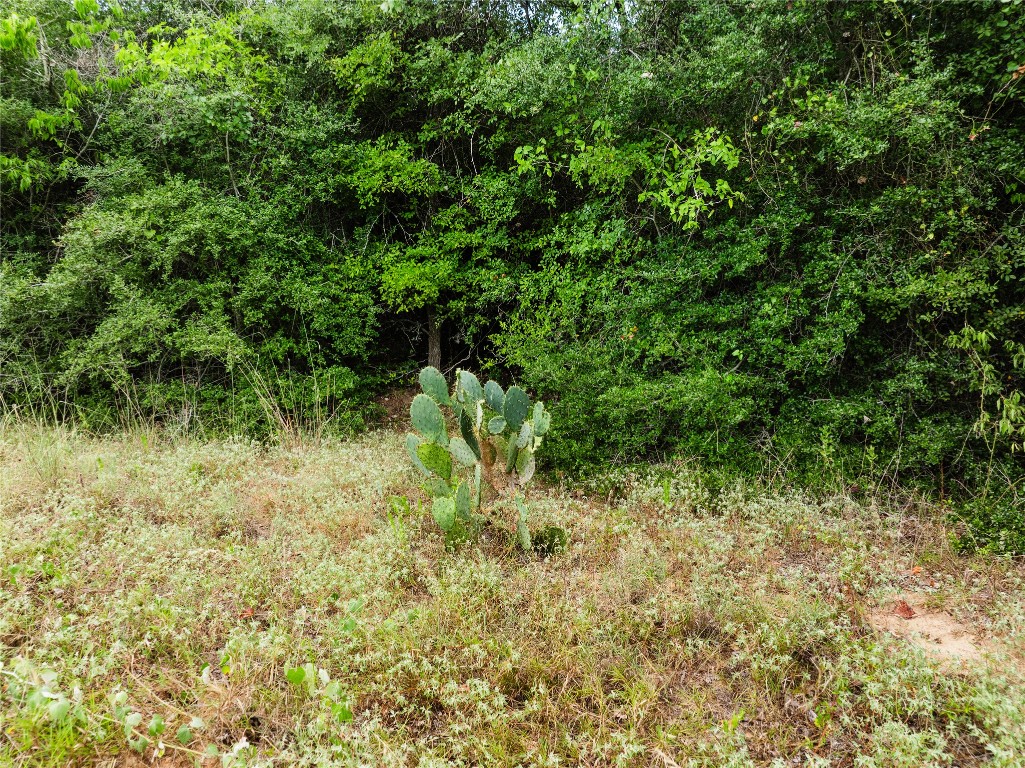 308 The Oaks Boulevard Elgin, TX 78621 - Photo 13 of 14 a view of a lush green space