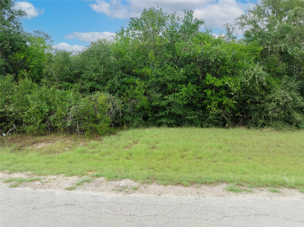 308 The Oaks Boulevard Elgin, TX 78621 - Photo 2 of 14 a view of a yard