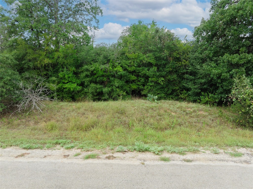308 The Oaks Boulevard Elgin, TX 78621 - Photo 3 of 14 a view of a yard with a tree