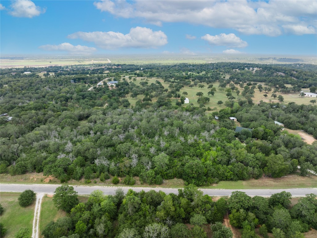 308 The Oaks Boulevard Elgin, TX 78621 - Photo 4 of 14 an aerial view of residential houses with outdoor space and trees