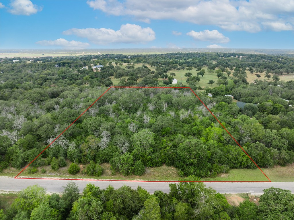 308 The Oaks Boulevard Elgin, TX 78621 - Photo 5 of 14 a view of a city
