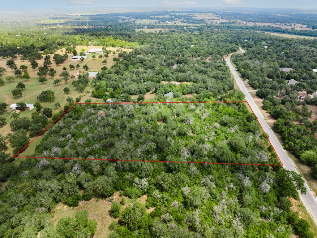 308 The Oaks Boulevard Elgin, TX 78621 - Photo 9 of 14 a view of a city with lush green forest