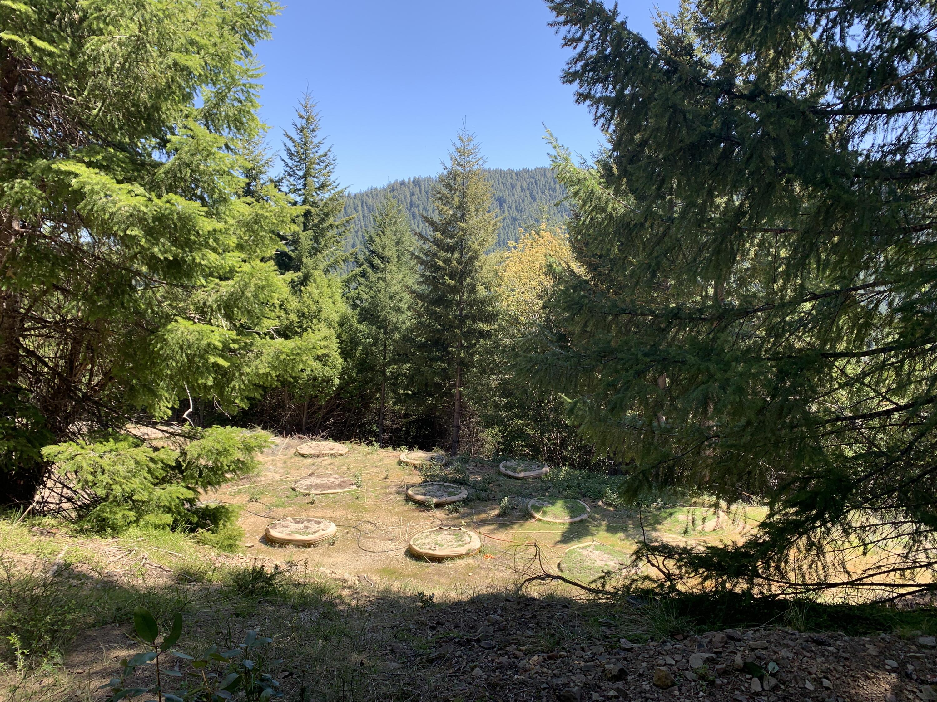 19265 Usfs Rte 1 Korbel, CA 95550 - Photo 20 of 23