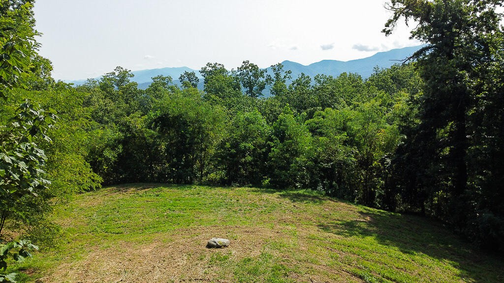1468 Laurel Road Gatlinburg, TN 37738 - Photo 2 of 40 Gallery Image 2