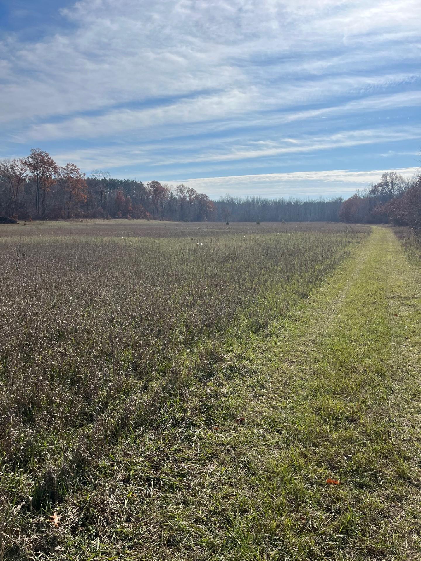 58-acres Mahoney Road Bruce, WI 54819 - Photo 9 of 12 Gallery Image 9