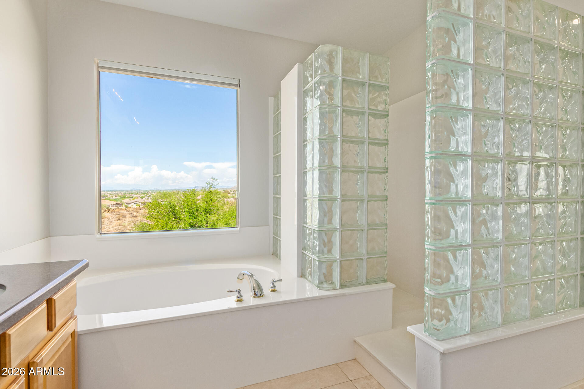 10872 East Raintree Drive Scottsdale, AZ 85255 - Photo 17 of 43 Primary Bathroom