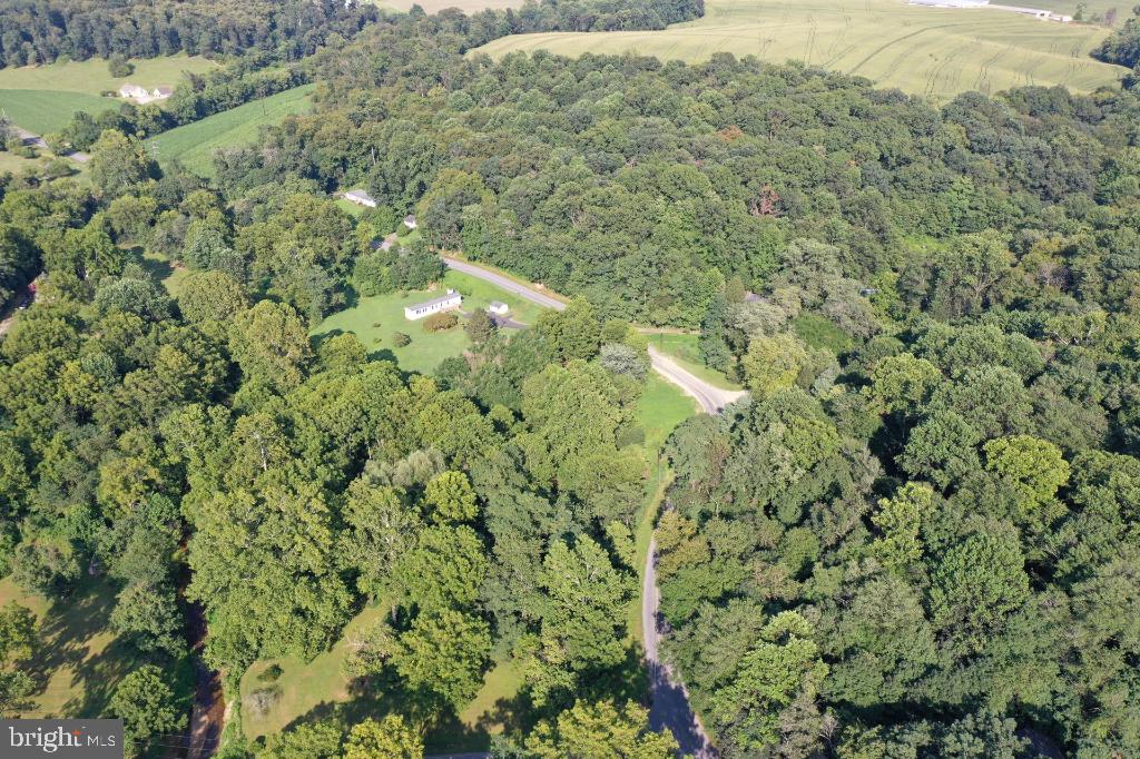 0 Arcadia Trce Road Peach Bottom, PA 17563 - Photo 5 of 17 a view of a forest with a street