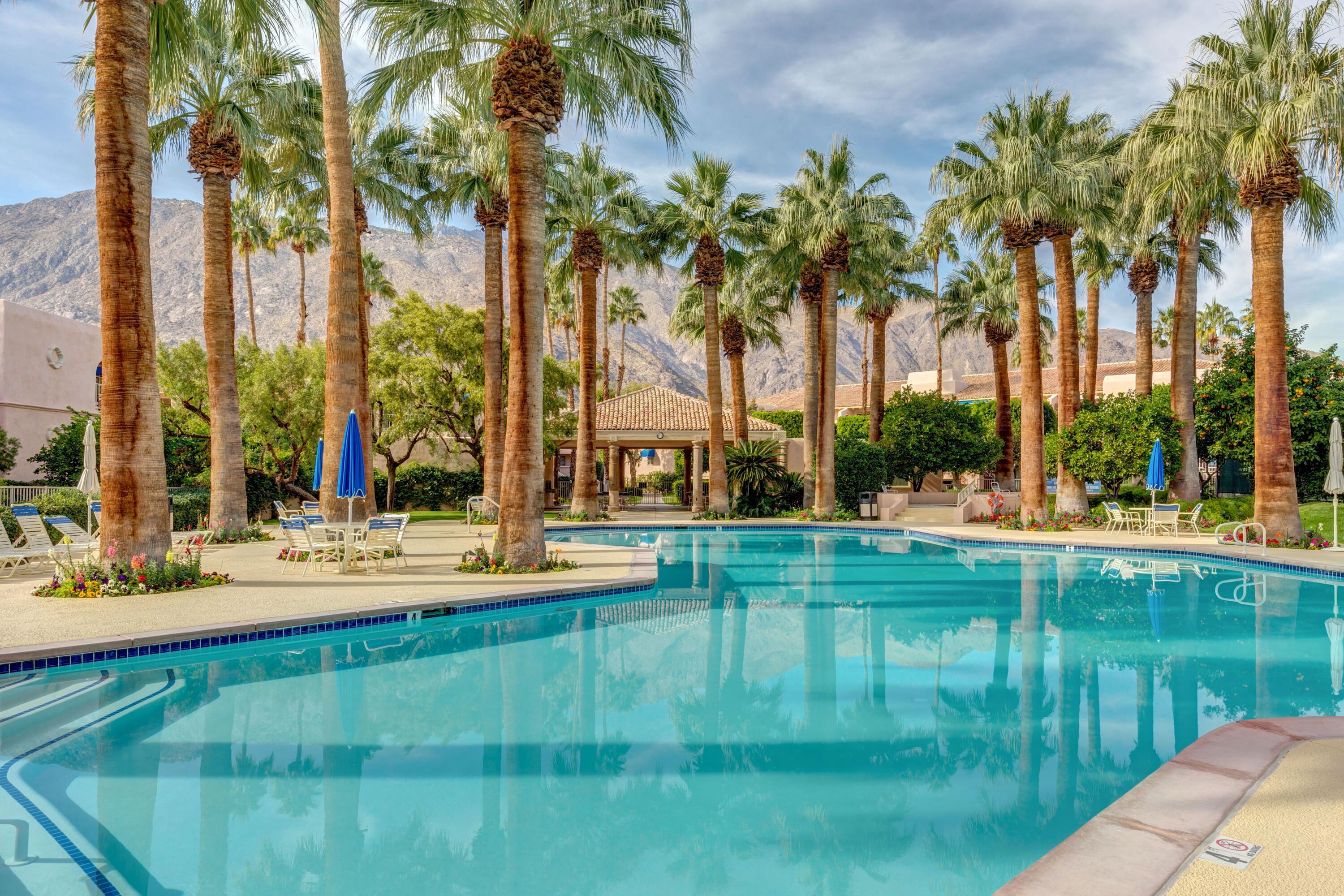 500 East Amado Road, Unit 613 Palm Springs, CA 92262 - Photo 2 of 28 a view of a swimming pool and trees in the patio