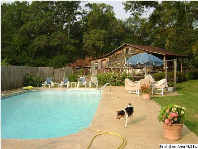 3930 Pecan Road Childersburg, AL 35044 - Photo 2 of 13