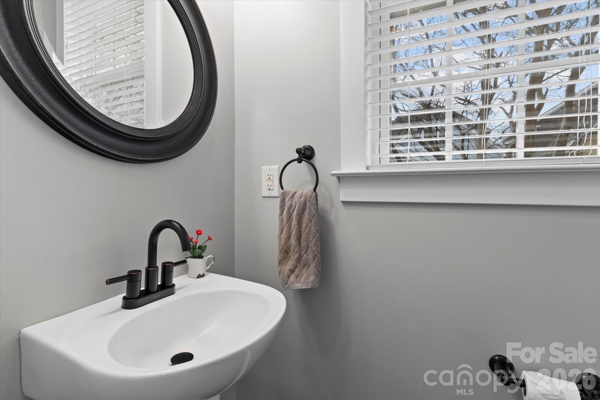 301 Bridges Farm Road Mooresville, NC 28115 - Photo 19 of 46 a bathroom with a sink and a mirror