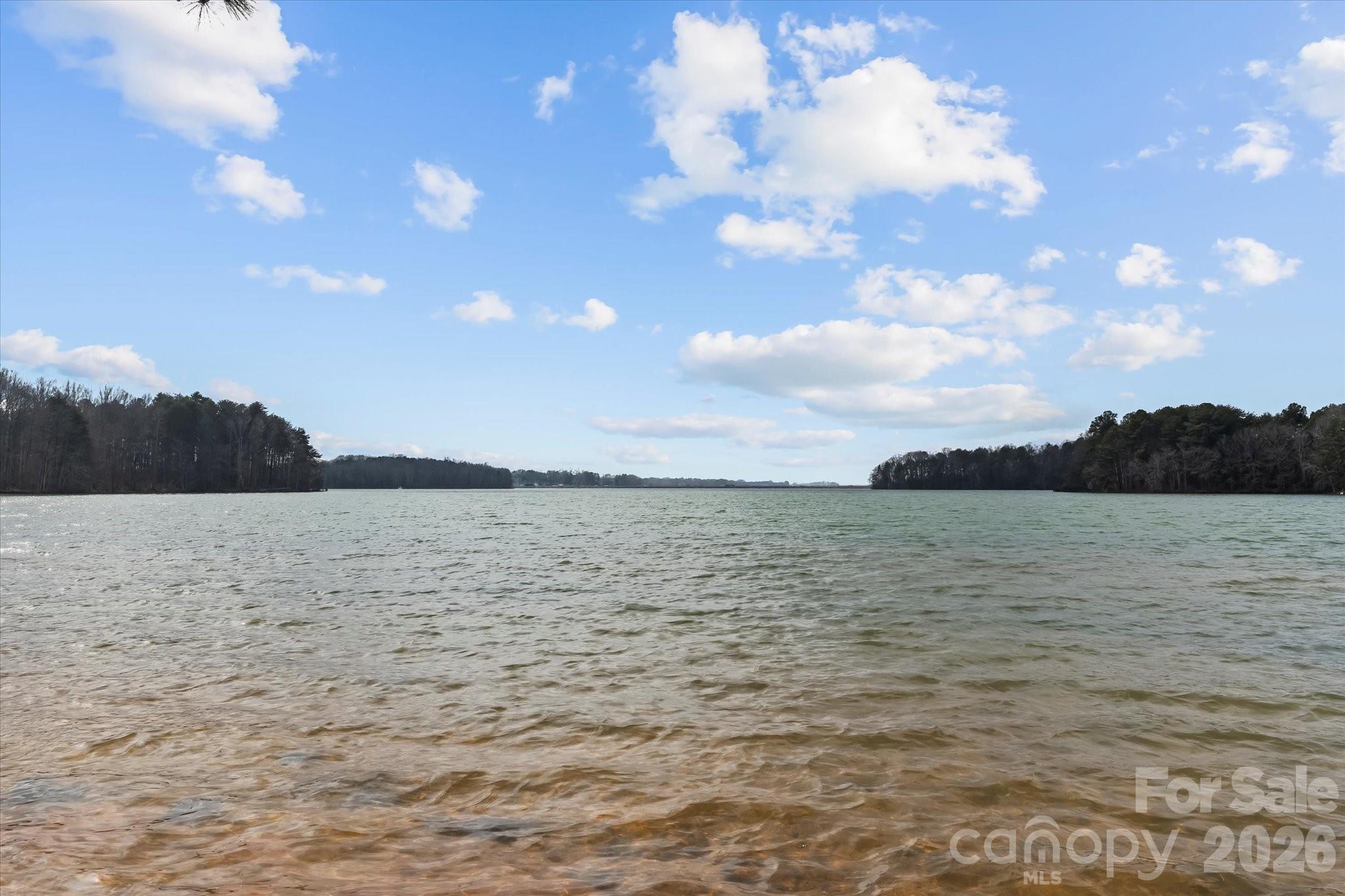 301 Bridges Farm Road Mooresville, NC 28115 - Photo 43 of 46 a view of lake