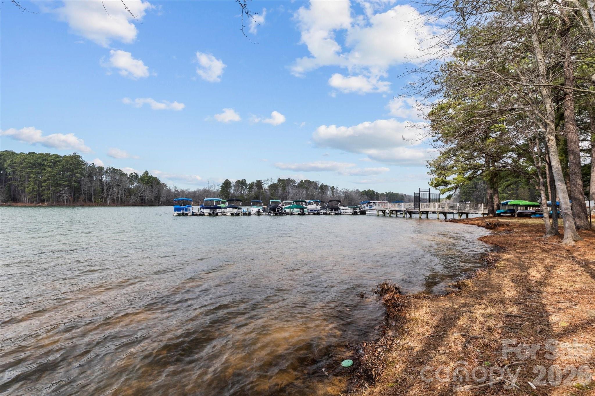 301 Bridges Farm Road Mooresville, NC 28115 - Photo 44 of 46 a view of lake