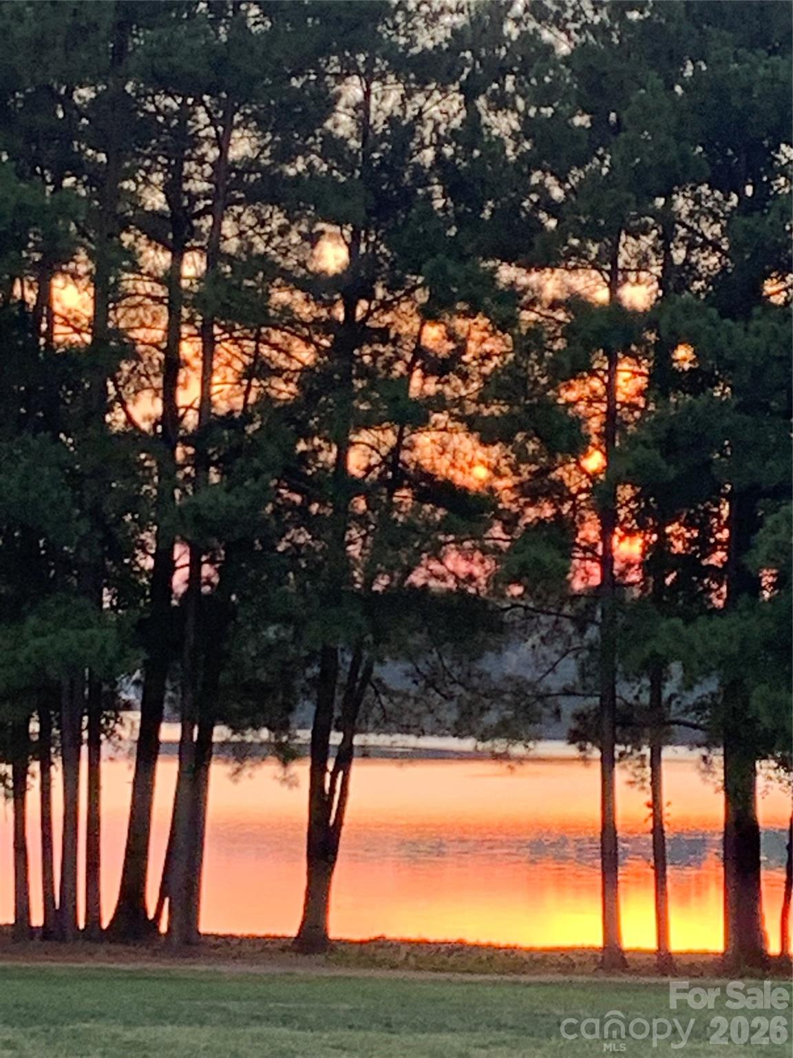 301 Bridges Farm Road Mooresville, NC 28115 - Photo 45 of 46 a view of tree