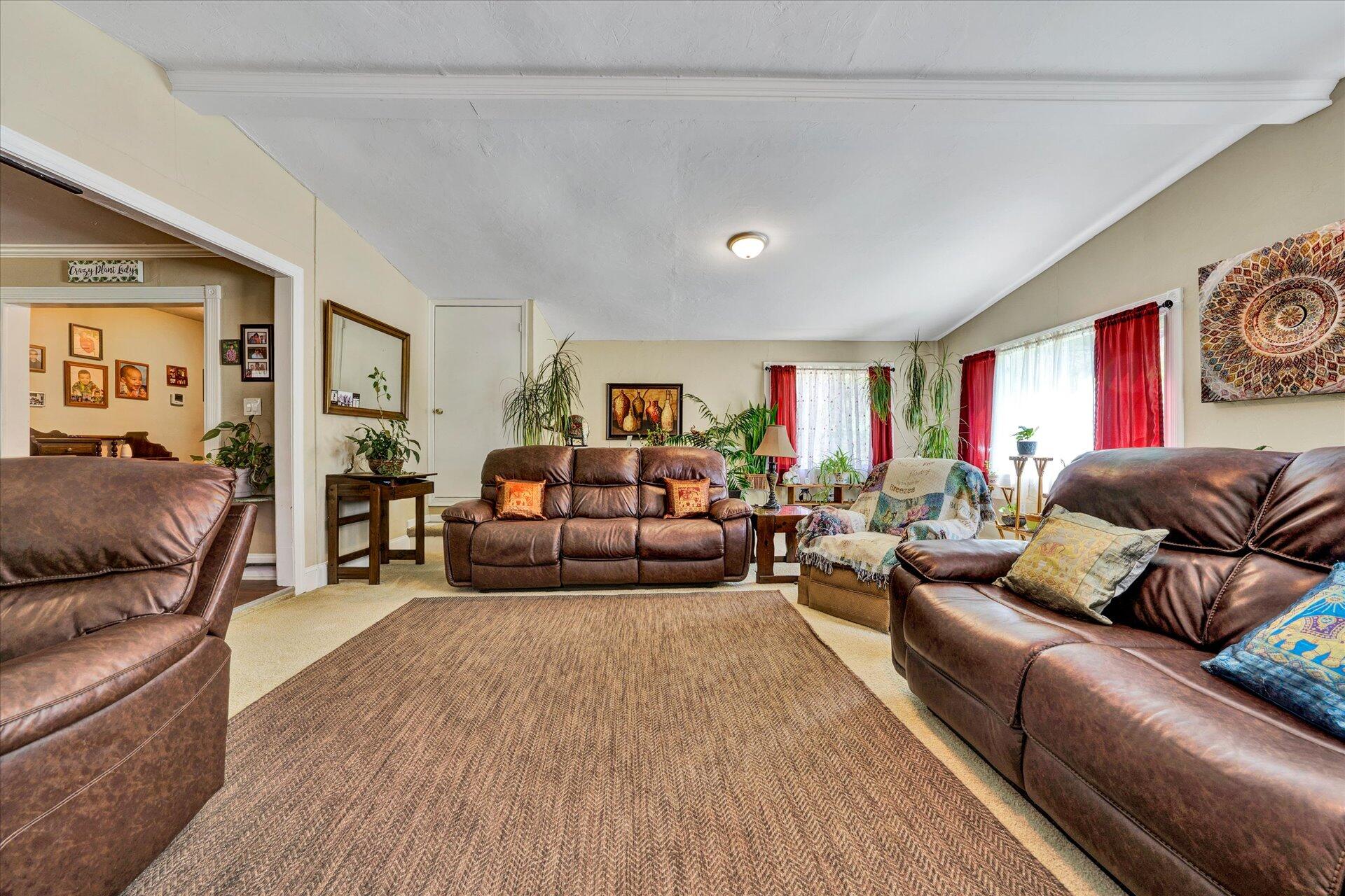 1100 Mountain Valley Road Buchanan, VA 24066 - Photo 3 of 21 03-DSC00112