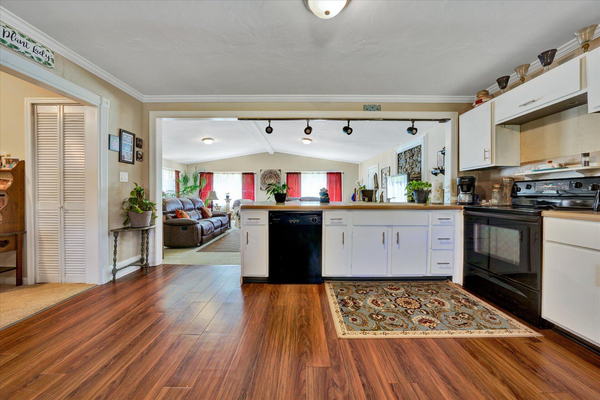 1100 Mountain Valley Road Buchanan, VA 24066 - Photo 8 of 21 08-DSC00127