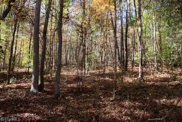546 Sain Road Mocksville, NC 27028 - Photo 5 of 6 Gallery Image 5