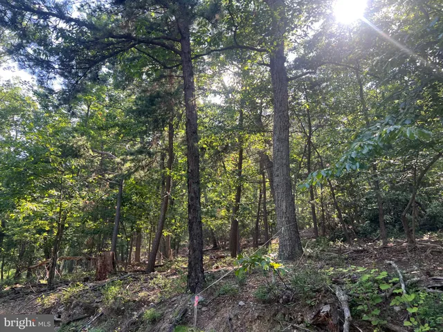 a view of outdoor space and green space