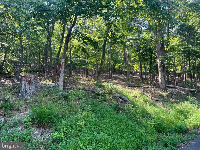 a view of outdoor space and yard