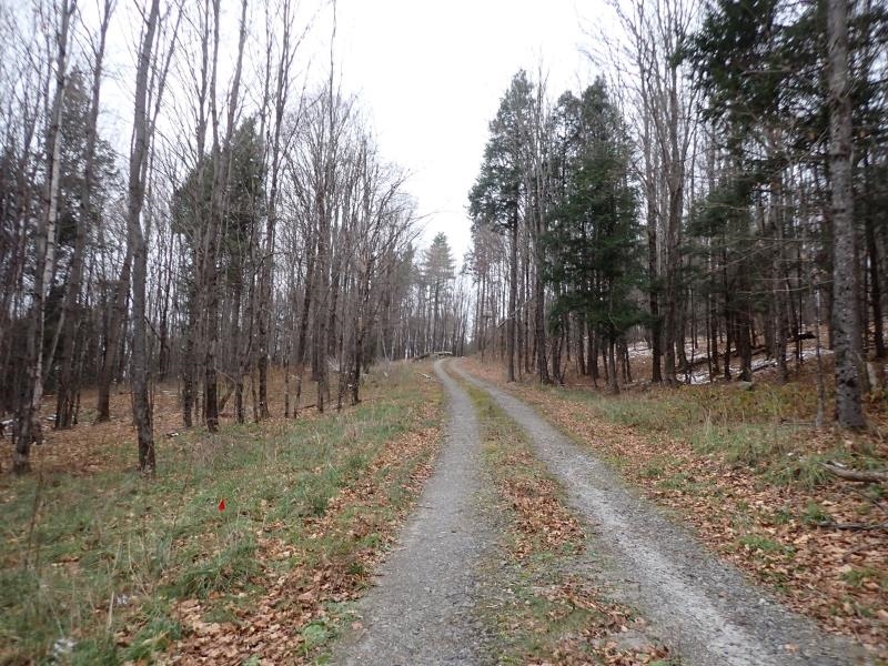 1100 East Hill Road Plainfield, VT 05667 - Photo 3 of 9
