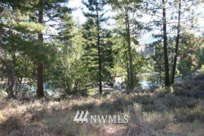 17 Northcott Road Winthrop, WA 98862 - Photo 1 of 1 Gallery Image 1