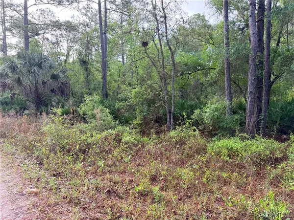$24,900 | 7494 West Nadel Drive, Crystal River, FL 34428