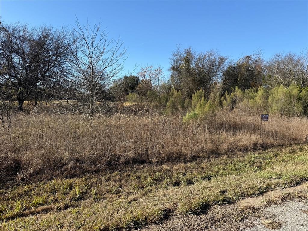 38037 Brookside Drive Whitney, TX 76692 - Photo 2 of 13 a view of a dry yard