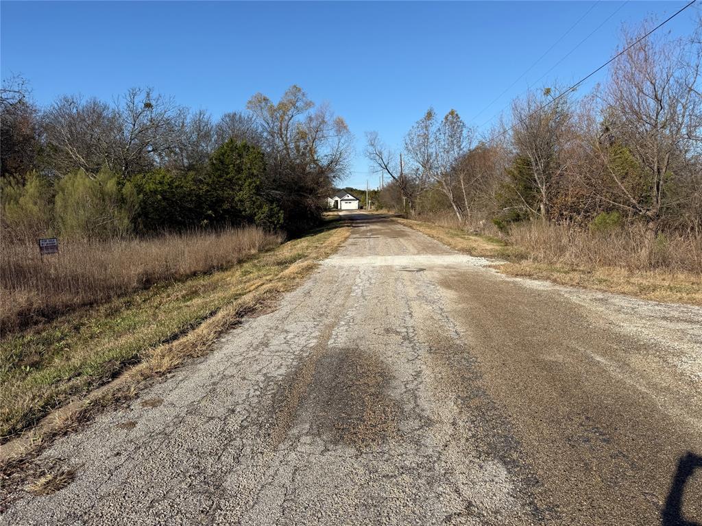 38037 Brookside Drive Whitney, TX 76692 - Photo 3 of 13 a view of a yard with a tree
