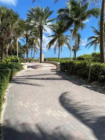 a row of palm trees and yard on the side of a road
