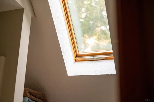 a view of a lush green forest with a mountain