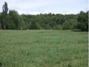 23 (weybridge Road Weybridge, VT 05753 - Photo 1 of 1