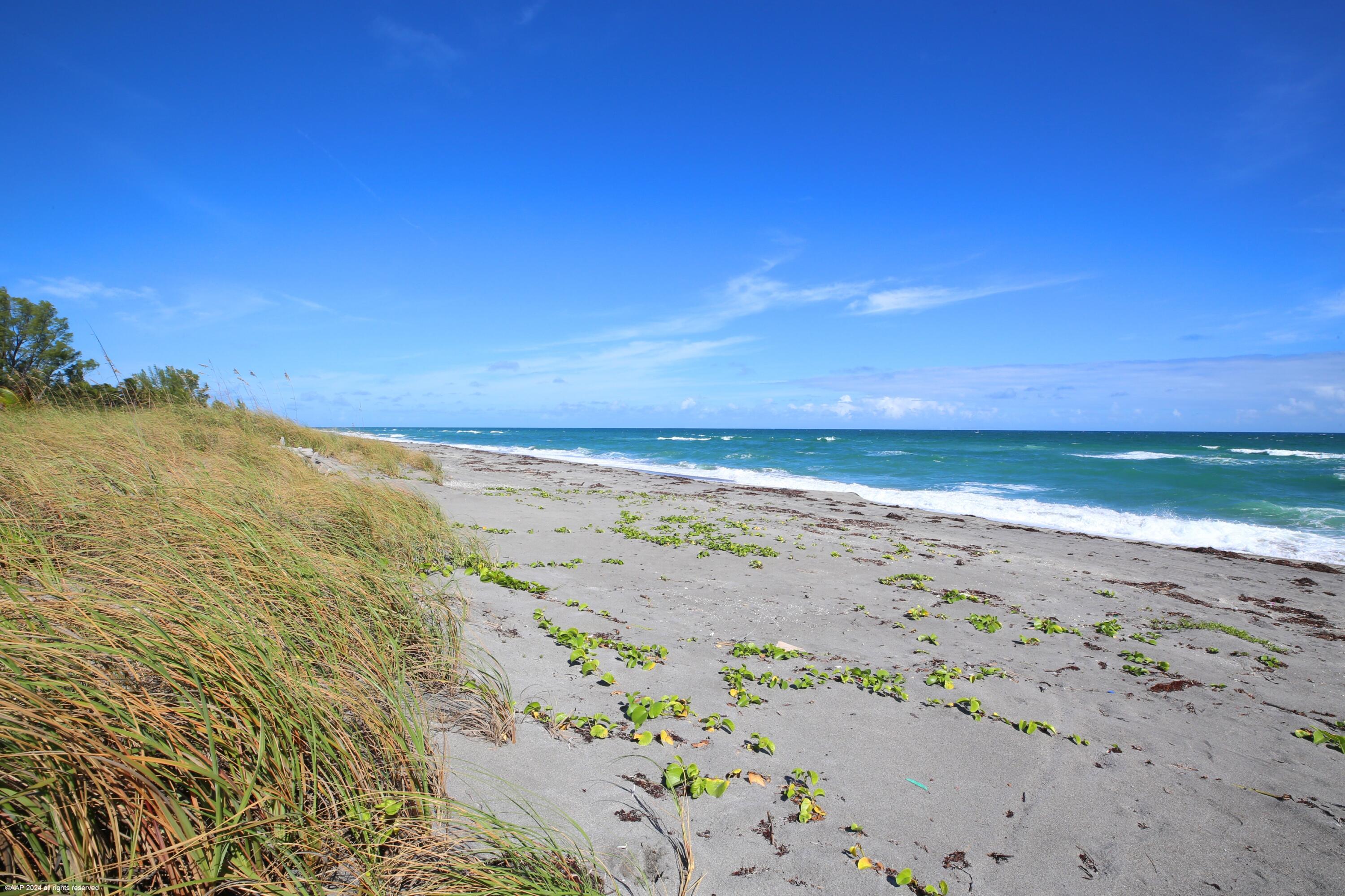 424 South Beach Road Jupiter Island, FL 33455 - Photo 38 of 38 424 South Beach Rd 184